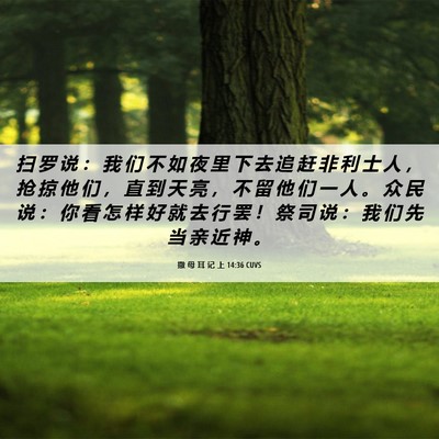 Picture 06 - 撒 母 耳 记 上 14:36 CUVS - 扫 罗 说 ： 我 们 不 如 夜 里 下 去 - Bible Verse Picture