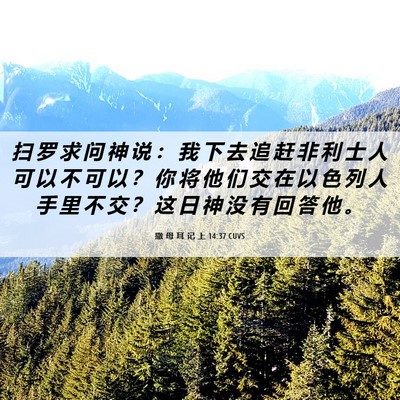 Picture 06 - 撒 母 耳 记 上 14:37 CUVS - 扫 罗 求 问 神 说 ： 我 下 去 追 赶 - Bible Verse Picture