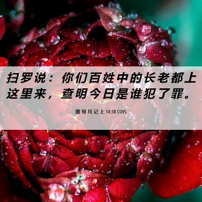 Picture 06 - 撒 母 耳 记 上 14:38 CUVS - 扫 罗 说 ： 你 们 百 姓 中 的 长 老 - Bible Verse Picture