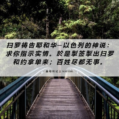 Picture 06 - 撒 母 耳 记 上 14:41 CUVS - 扫 罗 祷 告 耶 和 华 ─ 以 色 列 的 - Bible Verse Picture