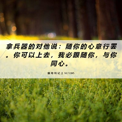 Picture 06 - 撒 母 耳 记 上 14:7 CUVS - 拿 兵 器 的 对 他 说 ： 随 你 的 心 - Bible Verse Picture