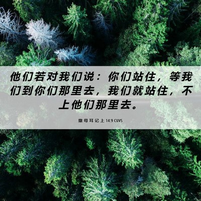 Picture 06 - 撒 母 耳 记 上 14:9 CUVS - 他 们 若 对 我 们 说 ： 你 们 站 住 - Bible Verse Picture