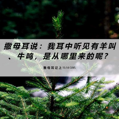 Picture 06 - 撒 母 耳 记 上 15:14 CUVS - 撒 母 耳 说 ： 我 耳 中 听 见 有 羊 - Bible Verse Picture