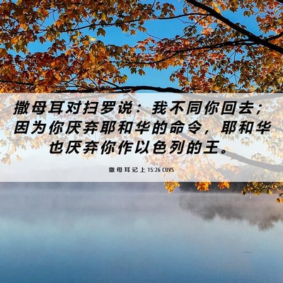 Picture 06 - 撒 母 耳 记 上 15:26 CUVS - 撒 母 耳 对 扫 罗 说 ： 我 不 同 你 - Bible Verse Picture