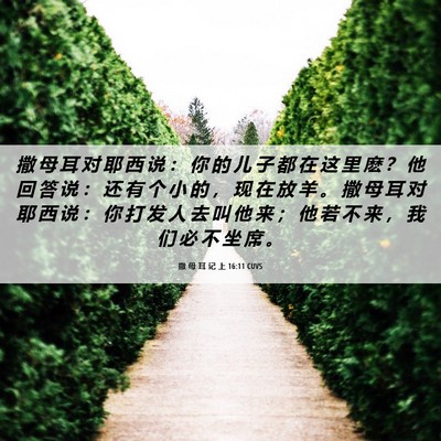 Picture 06 - 撒 母 耳 记 上 16:11 CUVS - 撒 母 耳 对 耶 西 说 ： 你 的 儿 子 - Bible Verse Picture