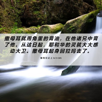 Picture 06 - 撒 母 耳 记 上 16:13 CUVS - 撒 母 耳 就 用 角 里 的 膏 油 ， 在 - Bible Verse Picture