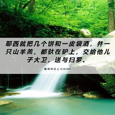Picture 06 - 撒 母 耳 记 上 16:20 CUVS - 耶 西 就 把 几 个 饼 和 一 皮 袋 酒 - Bible Verse Picture