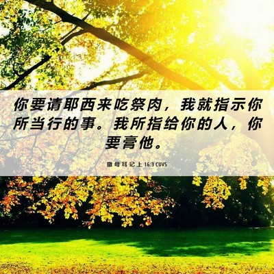 Picture 06 - 撒 母 耳 记 上 16:3 CUVS - 你 要 请 耶 西 来 吃 祭 肉 ， 我 就 - Bible Verse Picture