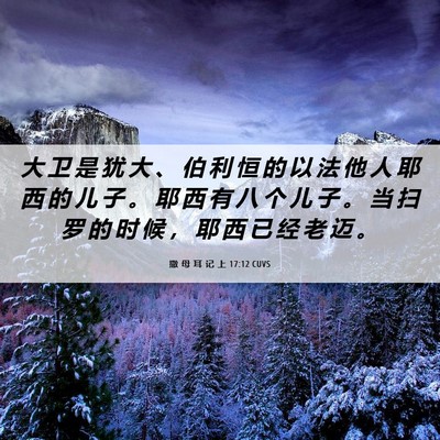 Picture 06 - 撒 母 耳 记 上 17:12 CUVS - 大 卫 是 犹 大 、 伯 利 恒 的 以 法 - Bible Verse Picture