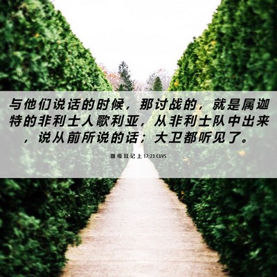 Picture 06 - 撒 母 耳 记 上 17:23 CUVS - 与 他 们 说 话 的 时 候 ， 那 讨 战 - Bible Verse Picture