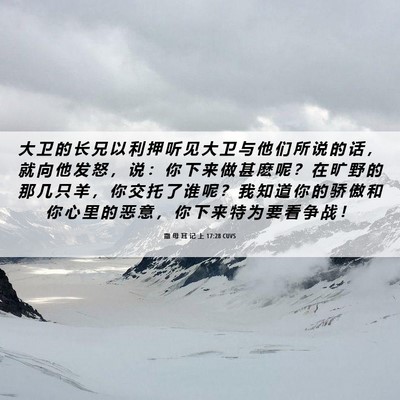 Picture 06 - 撒 母 耳 记 上 17:28 CUVS - 大 卫 的 长 兄 以 利 押 听 见 大 卫 - Bible Verse Picture