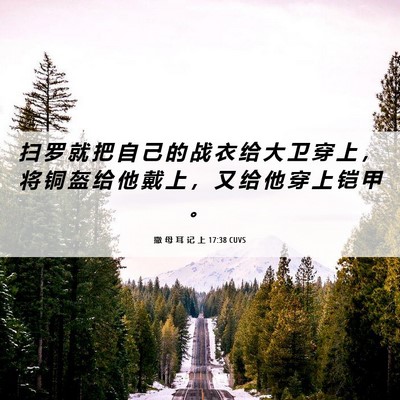 Picture 06 - 撒 母 耳 记 上 17:38 CUVS - 扫 罗 就 把 自 己 的 战 衣 给 大 卫 - Bible Verse Picture