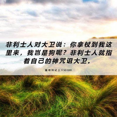 Picture 06 - 撒 母 耳 记 上 17:43 CUVS - 非 利 士 人 对 大 卫 说 ： 你 拿 杖 - Bible Verse Picture