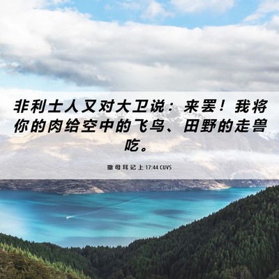 Picture 06 - 撒 母 耳 记 上 17:44 CUVS - 非 利 士 人 又 对 大 卫 说 ： 来 罢 - Bible Verse Picture