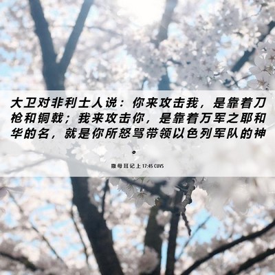 Picture 06 - 撒 母 耳 记 上 17:45 CUVS - 大 卫 对 非 利 士 人 说 ： 你 来 攻 - Bible Verse Picture