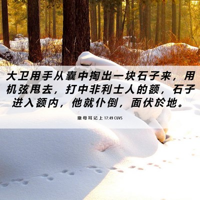 Picture 06 - 撒 母 耳 记 上 17:49 CUVS - 大 卫 用 手 从 囊 中 掏 出 一 块 石 - Bible Verse Picture