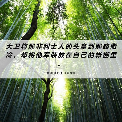 Picture 06 - 撒 母 耳 记 上 17:54 CUVS - 大 卫 将 那 非 利 士 人 的 头 拿 到 - Bible Verse Picture