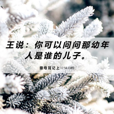 Picture 06 - 撒 母 耳 记 上 17:56 CUVS - 王 说 ： 你 可 以 问 问 那 幼 年 人 - Bible Verse Picture