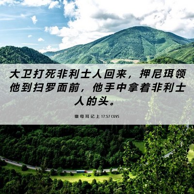 Picture 06 - 撒 母 耳 记 上 17:57 CUVS - 大 卫 打 死 非 利 士 人 回 来 ， 押 - Bible Verse Picture