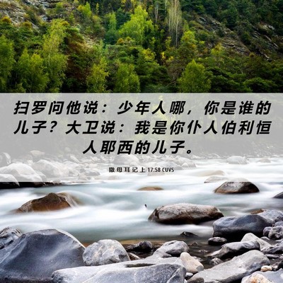 Picture 06 - 撒 母 耳 记 上 17:58 CUVS - 扫 罗 问 他 说 ： 少 年 人 哪 ， 你 - Bible Verse Picture