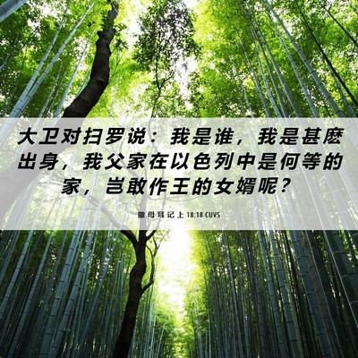 Picture 06 - 撒 母 耳 记 上 18:18 CUVS - 大 卫 对 扫 罗 说 ： 我 是 谁 ， 我 - Bible Verse Picture