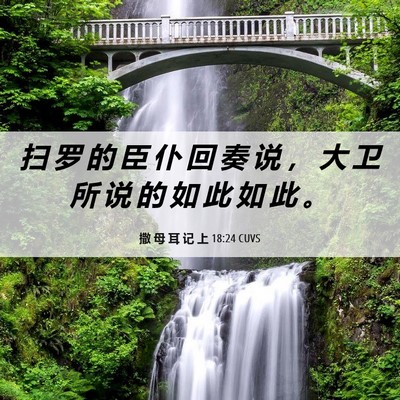 Picture 06 - 撒 母 耳 记 上 18:24 CUVS - 扫 罗 的 臣 仆 回 奏 说 ， 大 卫 所 - Bible Verse Picture