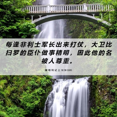 Picture 06 - 撒 母 耳 记 上 18:30 CUVS - 每 逢 非 利 士 军 长 出 来 打 仗 ， - Bible Verse Picture