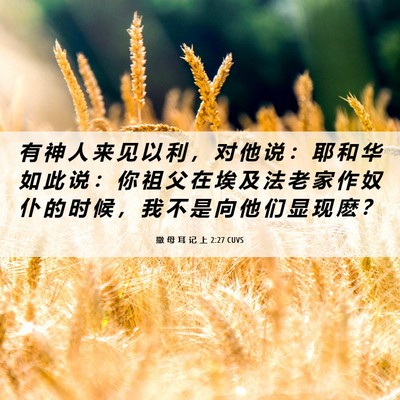 Picture 06 - 撒 母 耳 记 上 2:27 CUVS - 有 神 人 来 见 以 利 ， 对 他 说 ： - Bible Verse Picture