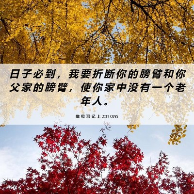 Picture 06 - 撒 母 耳 记 上 2:31 CUVS - 日 子 必 到 ， 我 要 折 断 你 的 膀 - Bible Verse Picture
