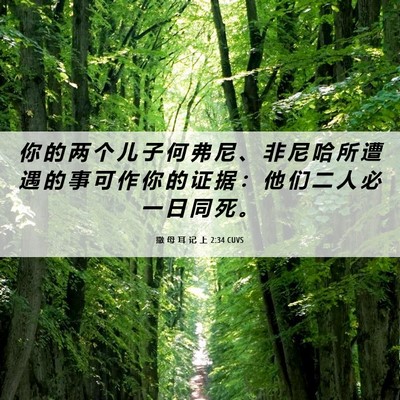 Picture 06 - 撒 母 耳 记 上 2:34 CUVS - 你 的 两 个 儿 子 何 弗 尼 、 非 尼 - Bible Verse Picture