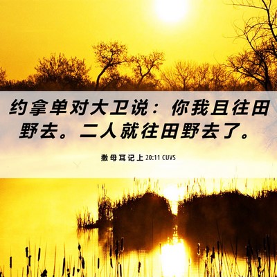 Picture 06 - 撒 母 耳 记 上 20:11 CUVS - 约 拿 单 对 大 卫 说 ： 你 我 且 往 - Bible Verse Picture