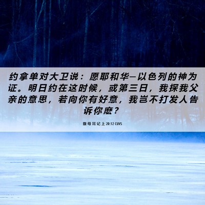 Picture 06 - 撒 母 耳 记 上 20:12 CUVS - 约 拿 单 对 大 卫 说 ： 愿 耶 和 华 - Bible Verse Picture