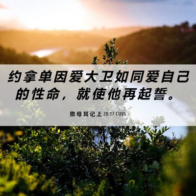 Picture 06 - 撒 母 耳 记 上 20:17 CUVS - 约 拿 单 因 爱 大 卫 如 同 爱 自 己 - Bible Verse Picture