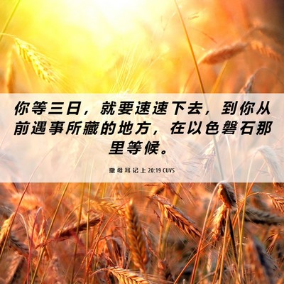 Picture 06 - 撒 母 耳 记 上 20:19 CUVS - 你 等 三 日 ， 就 要 速 速 下 去 ， - Bible Verse Picture