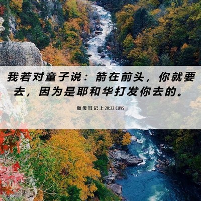 Picture 06 - 撒 母 耳 记 上 20:22 CUVS - 我 若 对 童 子 说 ： 箭 在 前 头 ， - Bible Verse Picture