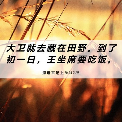Picture 06 - 撒 母 耳 记 上 20:24 CUVS - 大 卫 就 去 藏 在 田 野 。 到 了 初 - Bible Verse Picture