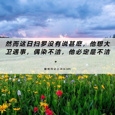 Picture 06 - 撒 母 耳 记 上 20:26 CUVS - 然 而 这 日 扫 罗 没 有 说 甚 麽 ， - Bible Verse Picture
