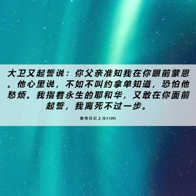Picture 06 - 撒 母 耳 记 上 20:3 CUVS - 大 卫 又 起 誓 说 ： 你 父 亲 准 知 - Bible Verse Picture