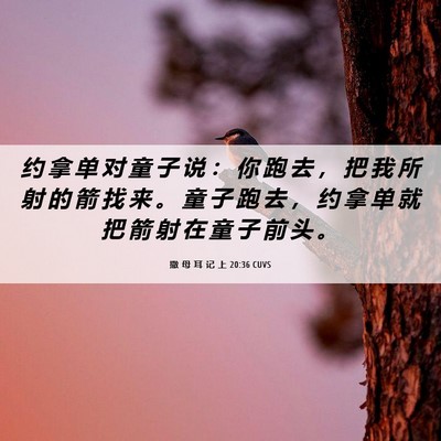 Picture 06 - 撒 母 耳 记 上 20:36 CUVS - 约 拿 单 对 童 子 说 ： 你 跑 去 ， - Bible Verse Picture