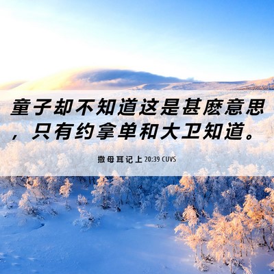 Picture 06 - 撒 母 耳 记 上 20:39 CUVS - 童 子 却 不 知 道 这 是 甚 麽 意 思 - Bible Verse Picture
