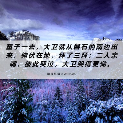 Picture 06 - 撒 母 耳 记 上 20:41 CUVS - 童 子 一 去 ， 大 卫 就 从 磐 石 的 - Bible Verse Picture