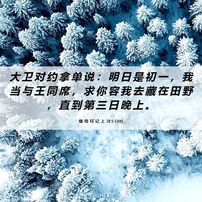 Picture 06 - 撒 母 耳 记 上 20:5 CUVS - 大 卫 对 约 拿 单 说 ： 明 日 是 初 - Bible Verse Picture