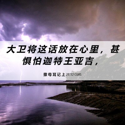 Picture 06 - 撒 母 耳 记 上 21:12 CUVS - 大 卫 将 这 话 放 在 心 里 ， 甚 惧 - Bible Verse Picture