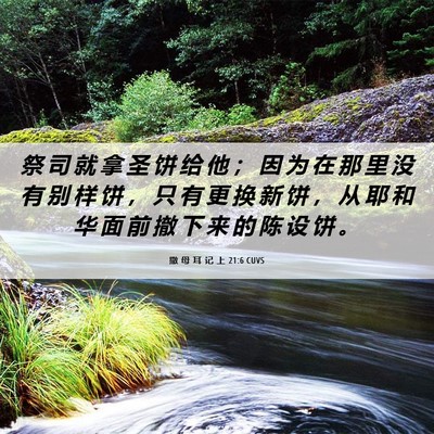 Picture 06 - 撒 母 耳 记 上 21:6 CUVS - 祭 司 就 拿 圣 饼 给 他 ； 因 为 在 - Bible Verse Picture