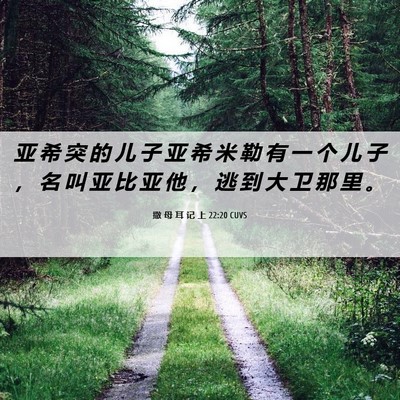 Picture 06 - 撒 母 耳 记 上 22:20 CUVS - 亚 希 突 的 儿 子 亚 希 米 勒 有 一 - Bible Verse Picture