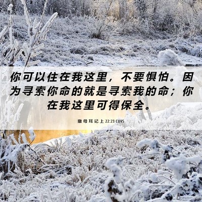 Picture 06 - 撒 母 耳 记 上 22:23 CUVS - 你 可 以 住 在 我 这 里 ， 不 要 惧 - Bible Verse Picture