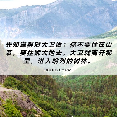 Picture 06 - 撒 母 耳 记 上 22:5 CUVS - 先 知 迦 得 对 大 卫 说 ： 你 不 要 - Bible Verse Picture