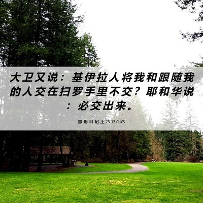 Picture 06 - 撒 母 耳 记 上 23:12 CUVS - 大 卫 又 说 ： 基 伊 拉 人 将 我 和 - Bible Verse Picture