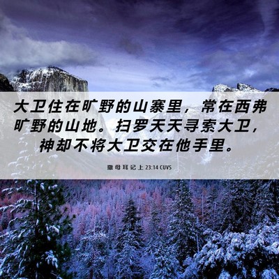 Picture 06 - 撒 母 耳 记 上 23:14 CUVS - 大 卫 住 在 旷 野 的 山 寨 里 ， 常 - Bible Verse Picture