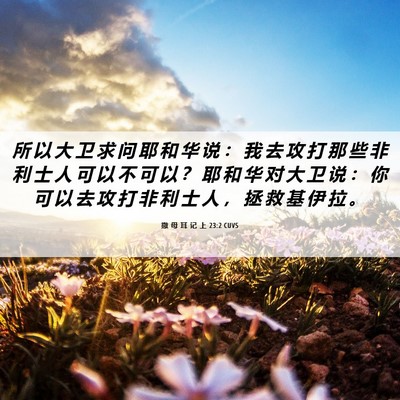 Picture 06 - 撒 母 耳 记 上 23:2 CUVS - 所 以 大 卫 求 问 耶 和 华 说 ： 我 - Bible Verse Picture